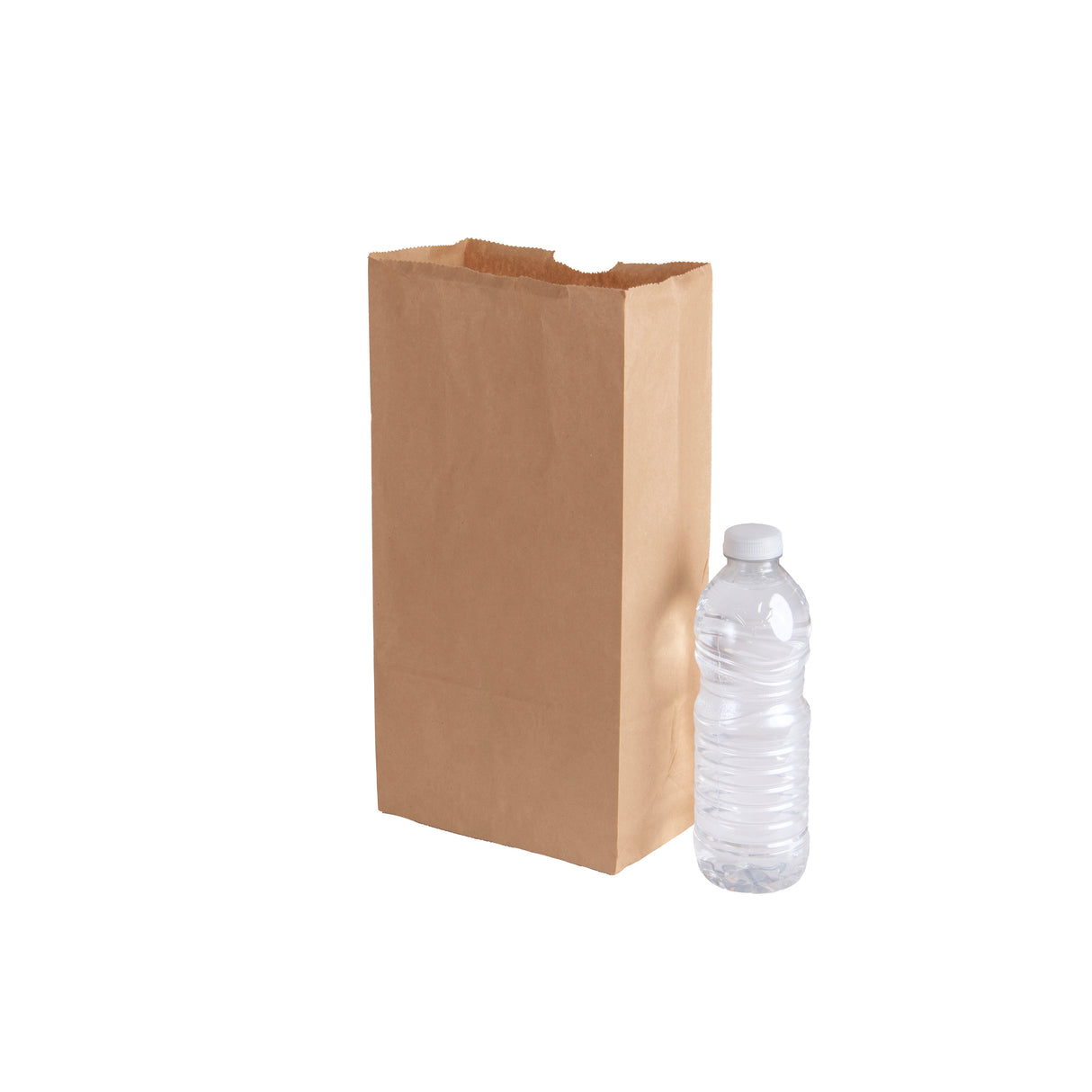 10LB Kraft Paper Bags, 500 pcs