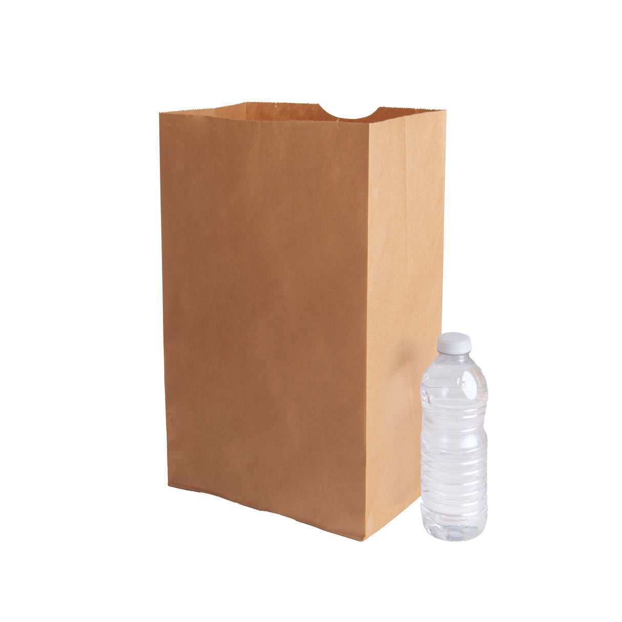 10x6x16 inch Kraft Paper Bags, 500 pcs