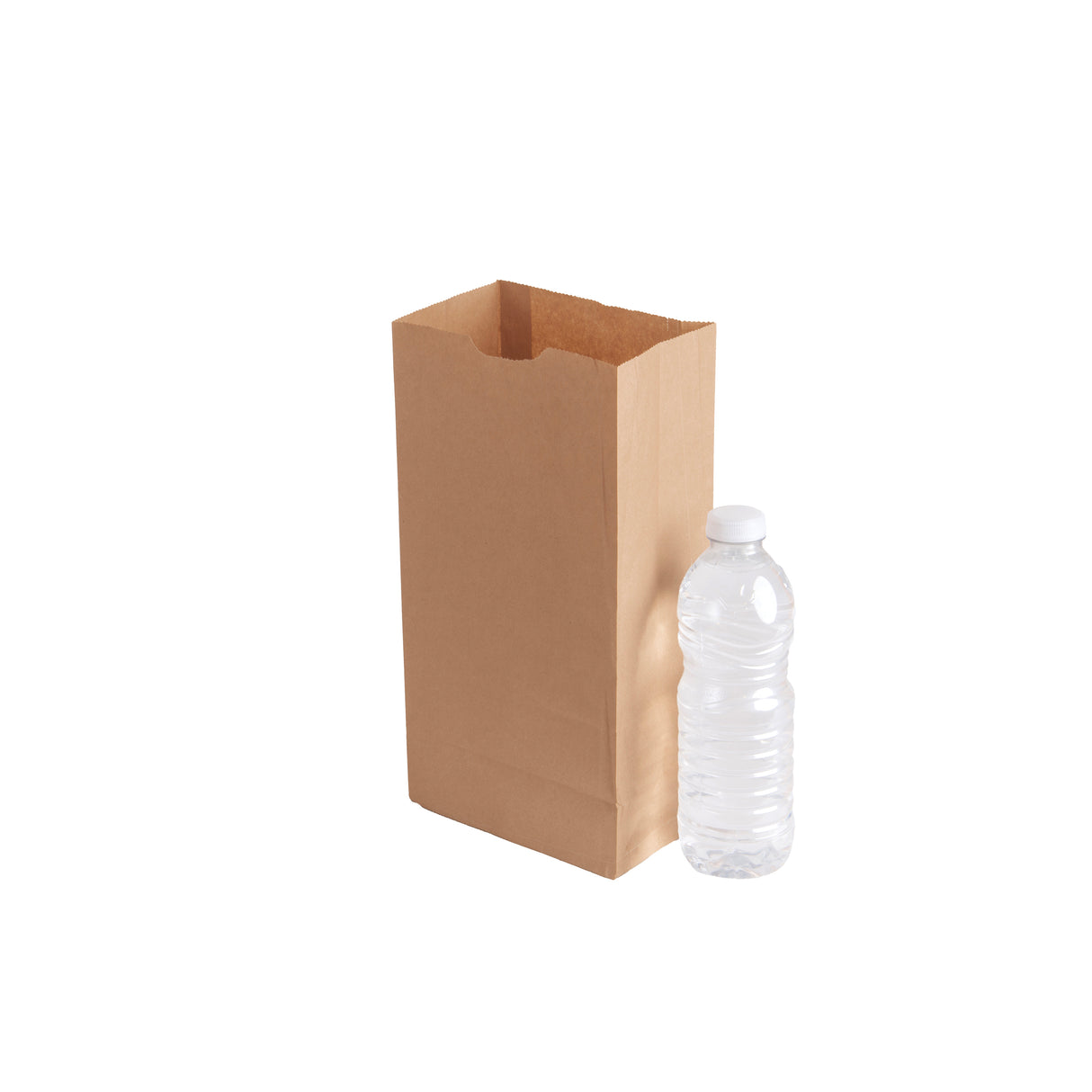 8LB Kraft Paper Bags, 500 pcs