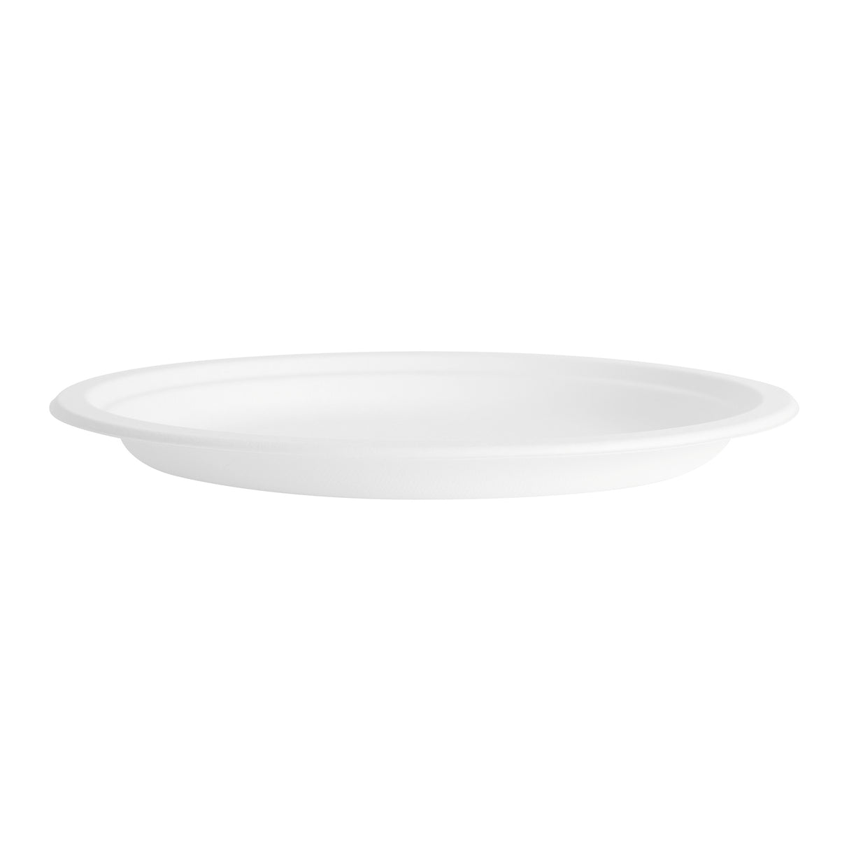 10 inch White Bagasse Round Plates, 500 pcs