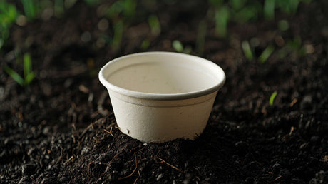 biodegradable bagasse bowl buried in black soil