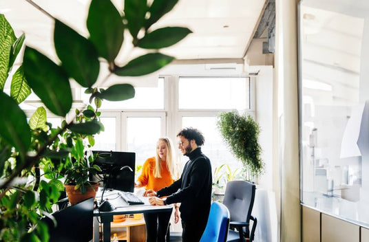 pakpakgo's bright eco work place 2 employees collaborating with lots of green plants