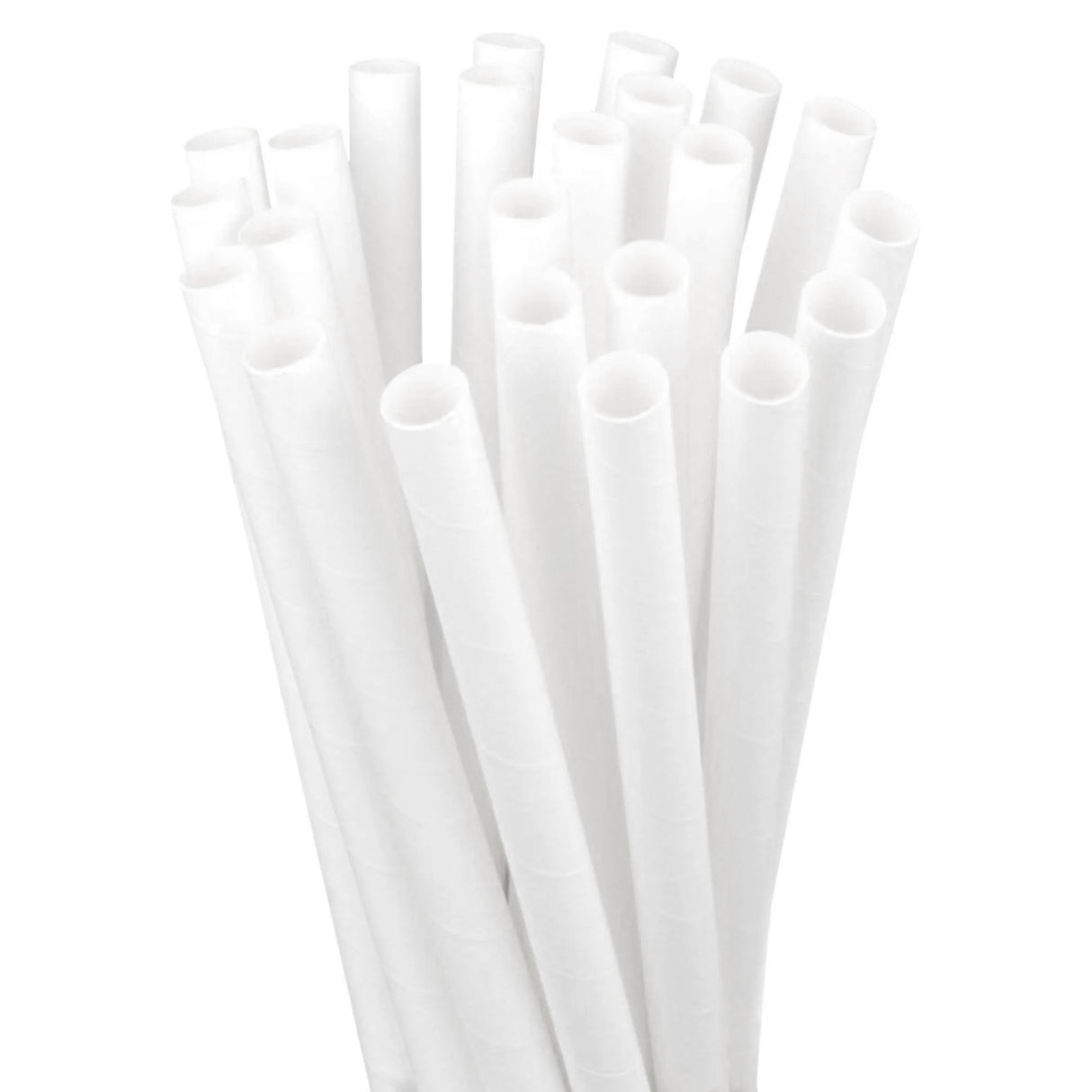 8" Paper Straws, 2000 pcs