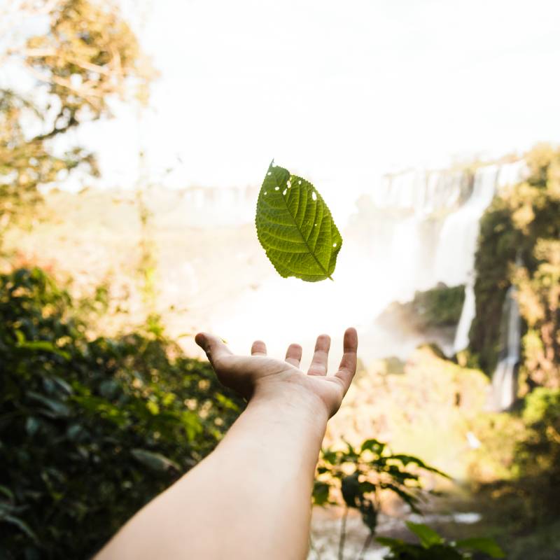 a hand with a floating green leaf, eco friendly